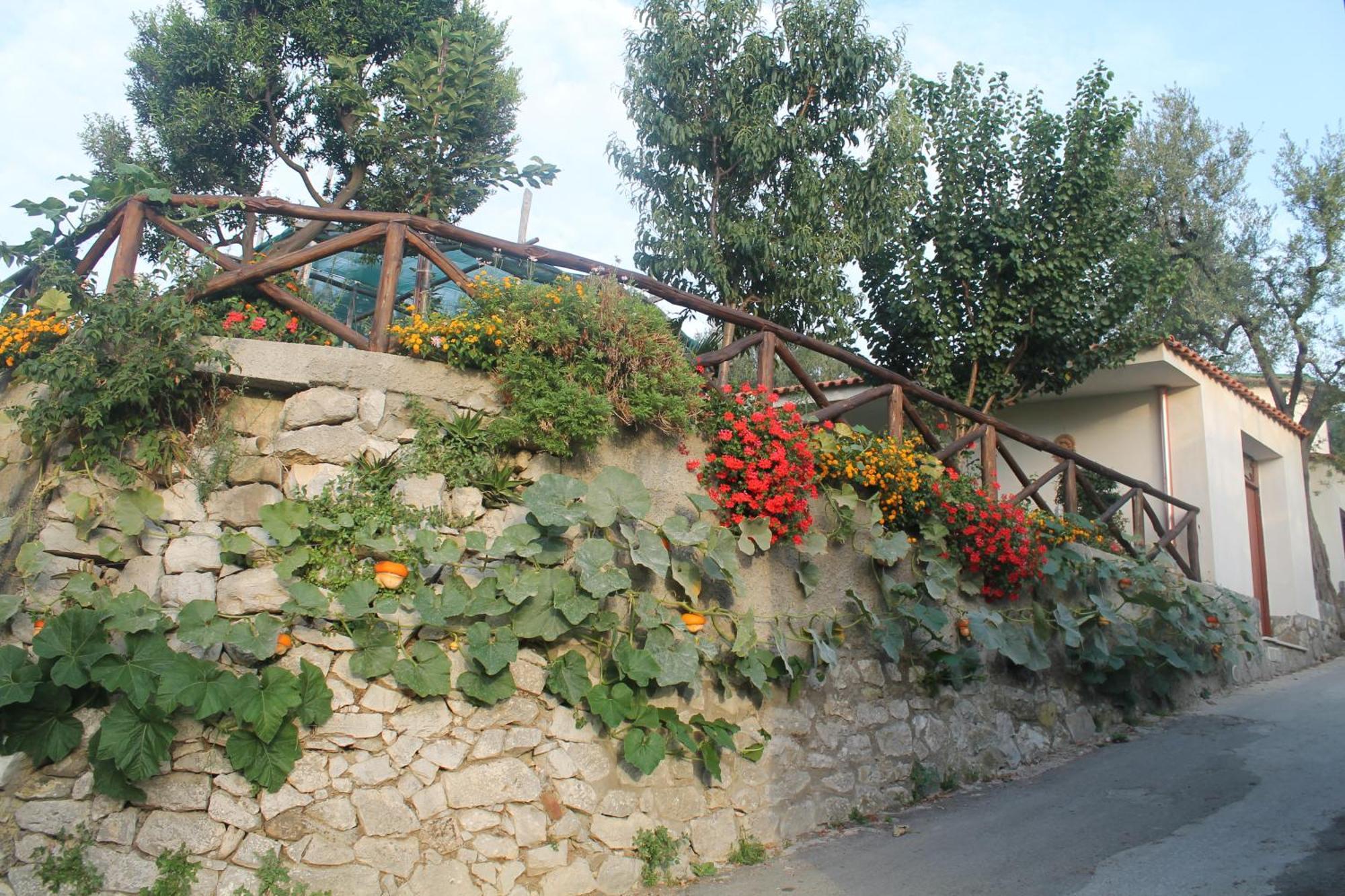 Casa Vacanze Chery ซอร์เรนโต ภายนอก รูปภาพ